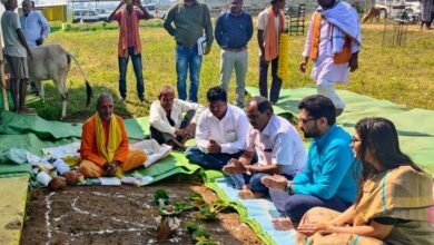 Photo of गोवर्धन पूजा के साथ कोरिया जिले में परंपरागत उल्लास के साथ मना गौठान दिवस…  कलेक्टर व सीईओ के साथ जिला पंचायत उपाध्यक्ष श्री वेदांती तिवारी ने की पूजा अर्चना…